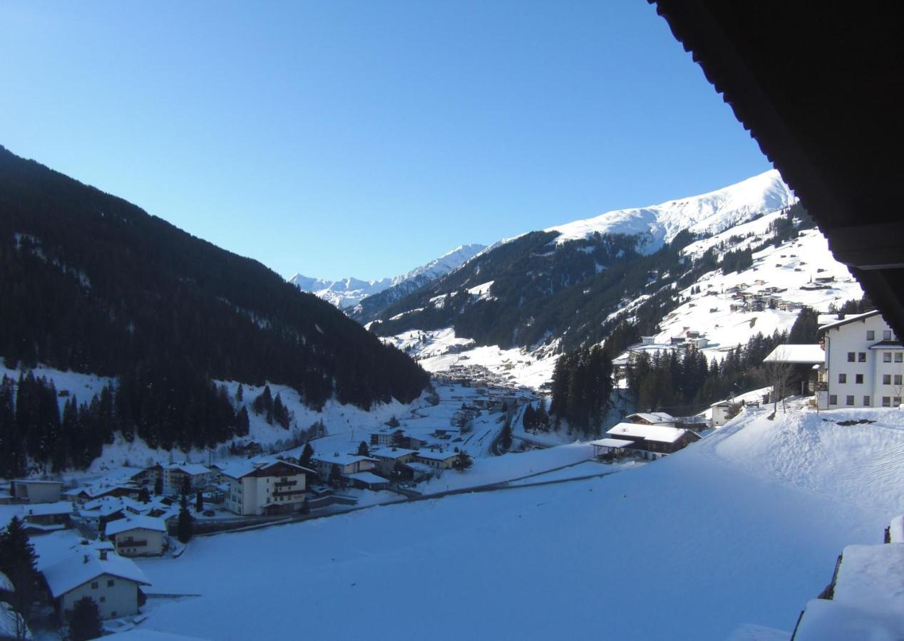 Apartment Haus Dristner *